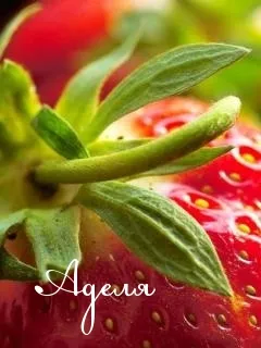Открытка Открытки с именем Адель - Клубника крупный план: нежная открытка с ягодой | Красивая открытка #107