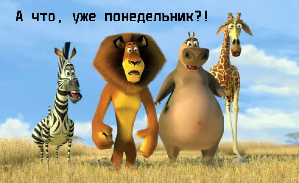 Открытка Открытки по мультфильмам - Открытка с Мадагаскаром: Лев, зебра, бегемот и жираф | Красивая открытка #35
