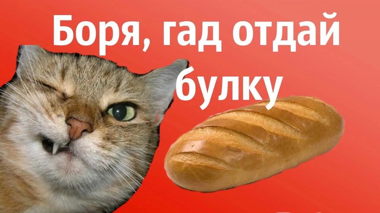 Открытка открытки с именем Борис - Кошка и хлеб на открытке | Красивая открытка #136