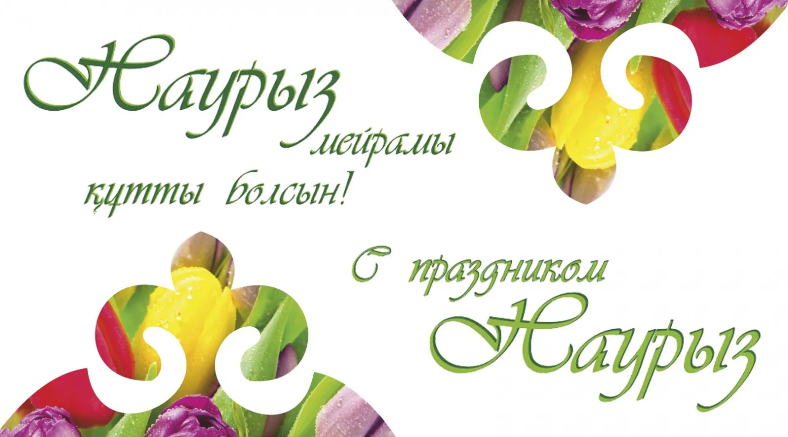 Открытка Наурыз - Открытка с цветами: тюльпаны и нарциссы | Красивая открытка #62