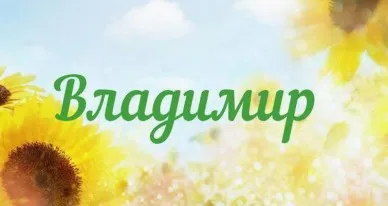 Открытка открытки с именем Владимир - Открытка с подсолнухами: яркие цветы на фоне голубого неба | Красивая открытка #230