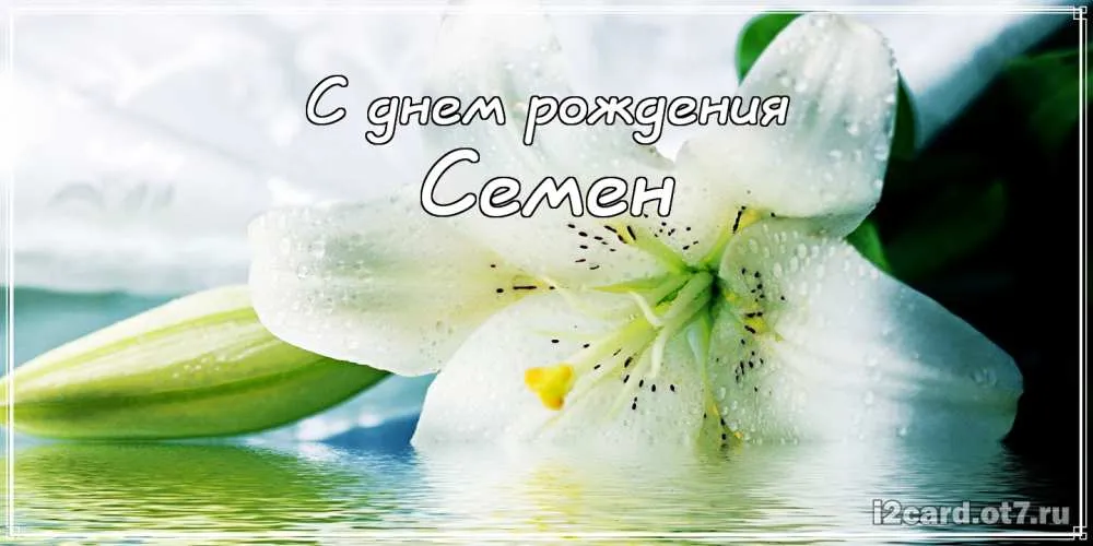 Открытка Открытки с именем Семен - Открытка с лилией: С днем рождения | Красивая открытка #43