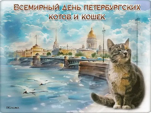 Открытка Всемирный день петербургских котов и кошек - Открытка Санкт-Петербург: котик и виды города | Красивая открытка #2