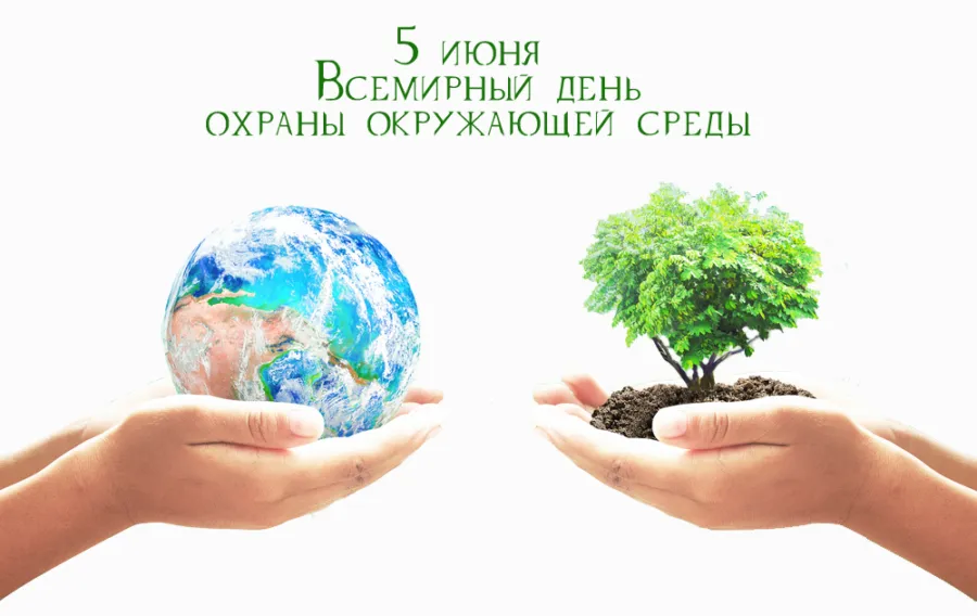 Открытка Открытки с днем эколога - День Земли: Открытка с деревом и планетой | Красивая открытка #13