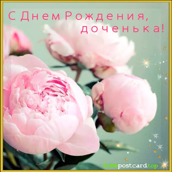 Открытка С пионами - Открытка с розовыми пионами | Красивая открытка #39