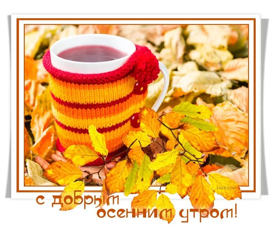 Открытка Открытки с добрым осенним утром - Осенний уют: теплая чашка и яркие листья | Красивая открытка #15