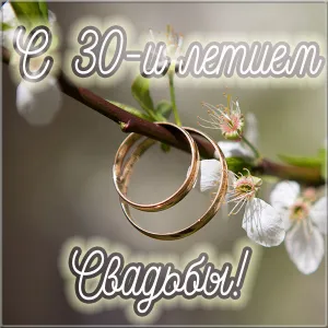 Открытка Открытки на Жемчужную свадьбу 30 лет - Золотые обручальные кольца на цветущей ветке | Красивая открытка #84
