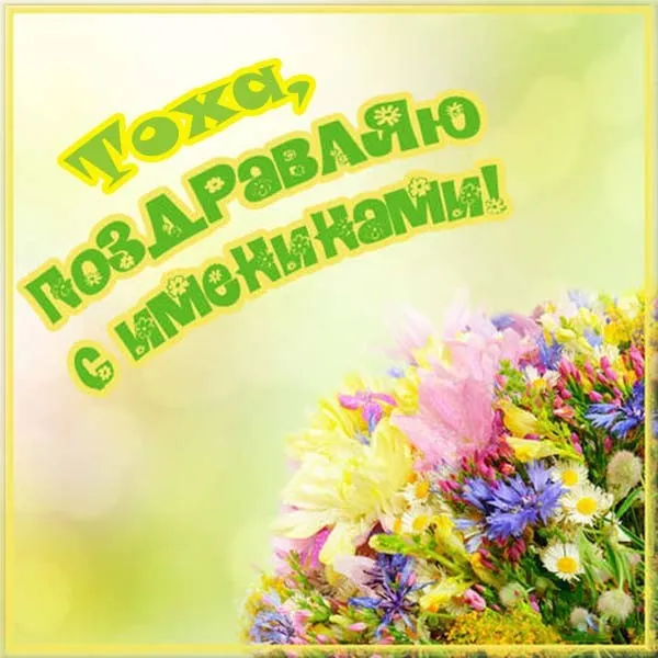 Открытка открытки с именем Антон  - Праздничная открытка с цветами | Красивая открытка #118