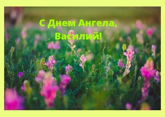 Открытка открытки с именем Василий - Полевые цветы: открытка с днем ангела | Красивая открытка #129