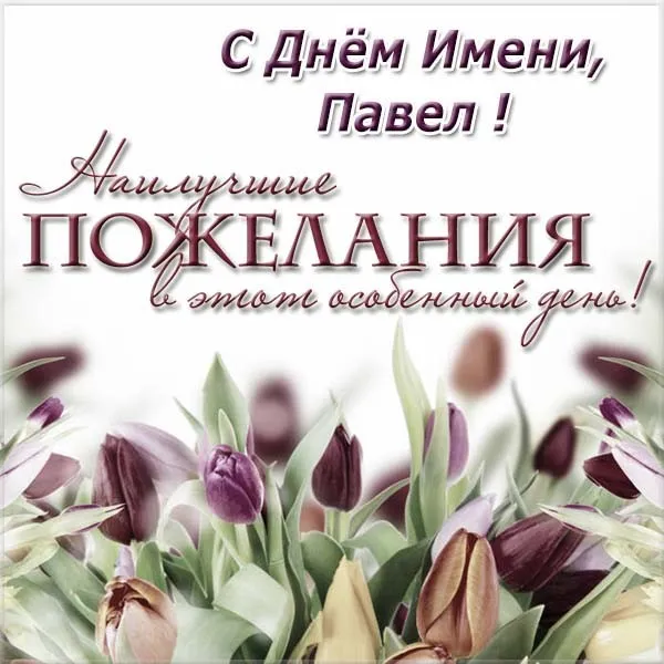 Открытка Открытки с именем Павел  - Открытка с красными цветами | Красивая открытка #162
