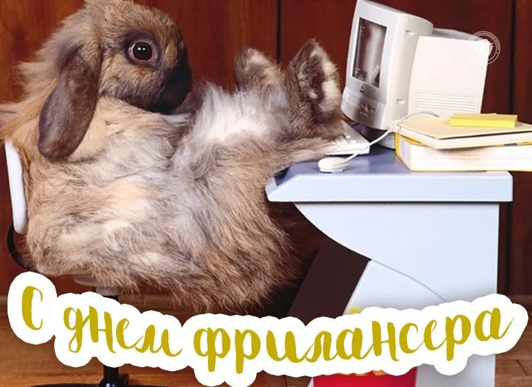 Открытка День фрилансера - Забавные открытки с кроликом на рабочем месте | Красивая открытка #12