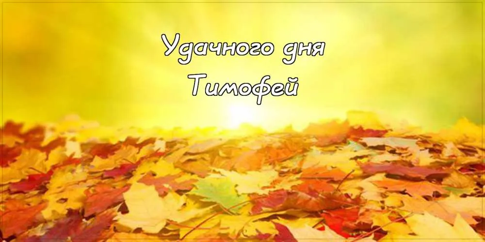 Открытка Открытки с именем Тимофей - Осенние листья: открытка с надписью "Удачи тебе!" | Красивая открытка #86