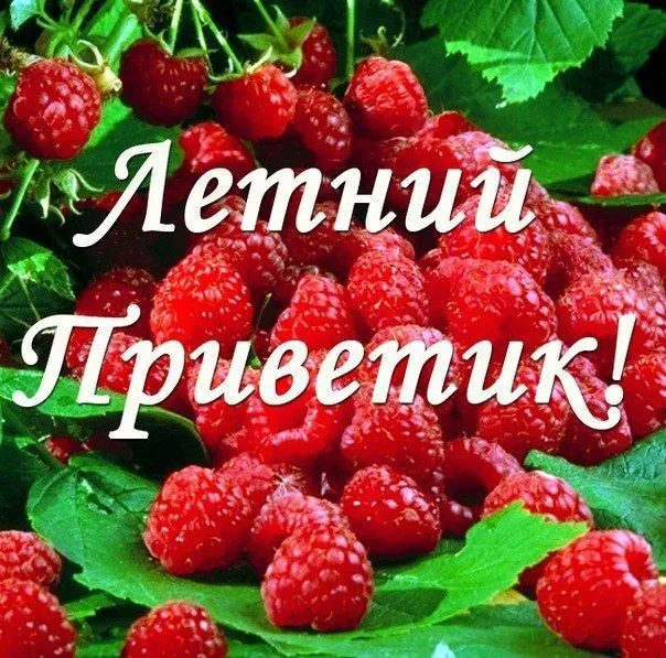 Открытка летний привет - Ягоды клубники | Красивая открытка #2
