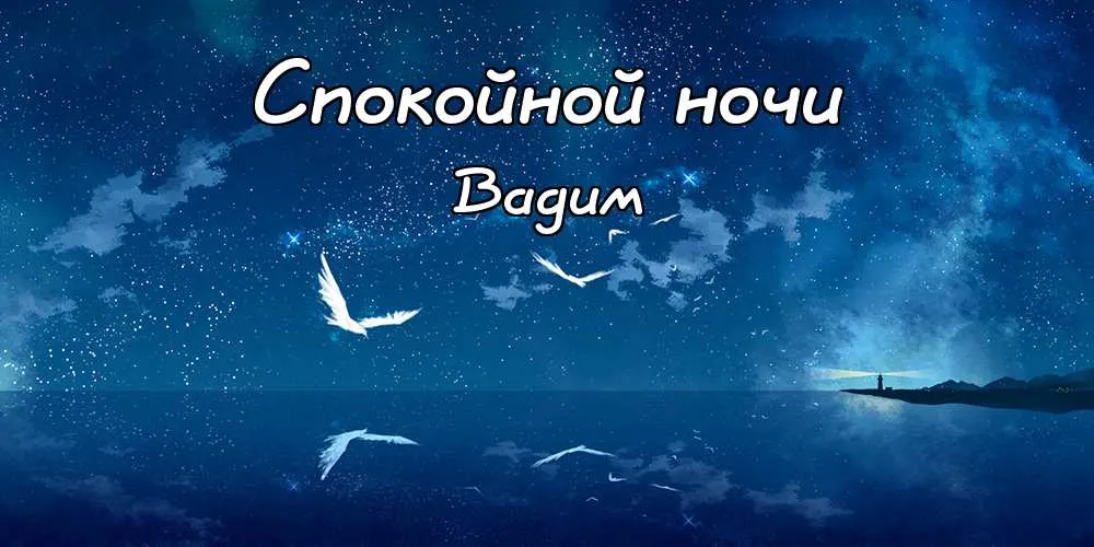 Открытка открытки с именем Вадим - Ночное море, птицы и звезды: открытка с добрым вечером | Красивая открытка #234
