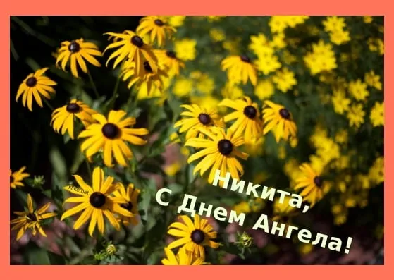 Открытка Открытки с именем Никита - Полевые цветы. Открытка с днем ангела. | Красивая открытка #188