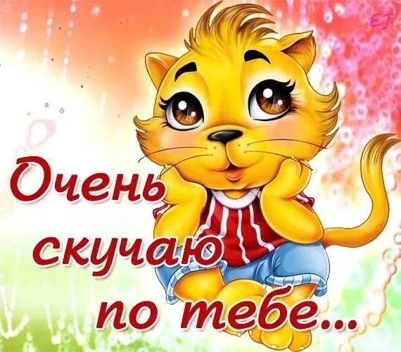 Открытка Скучаю - Открытка с котенком: милая анимация, поздравление | Красивая открытка #253