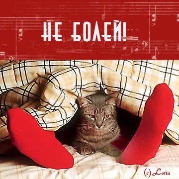 Открытка Не болей - Кошка в красных носках на пледе | Красивая открытка #8