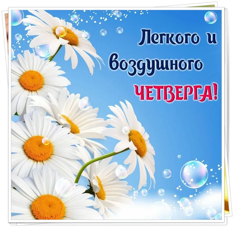 Открытка Удачного четверга - Открытка с ромашками на синем фоне | Красивая открытка #26