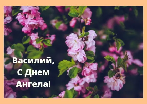Открытка открытки с именем Василий - Цветущая вишня: нежная открытка для близких | Красивая открытка #250