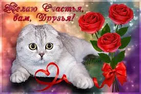 Открытка Желаю счастья - Кошка с цветами: открытка с любовью | Красивая открытка #132
