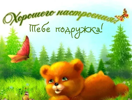 Открытка С пожеланиями другу/подруге - Открытка с милым плюшевым мишкой и бабочкой | Красивая открытка #23