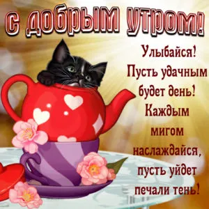 Открытка С добрым утром - Кошка в чае: С днем рождения! Яркая открытка | Красивая открытка #23