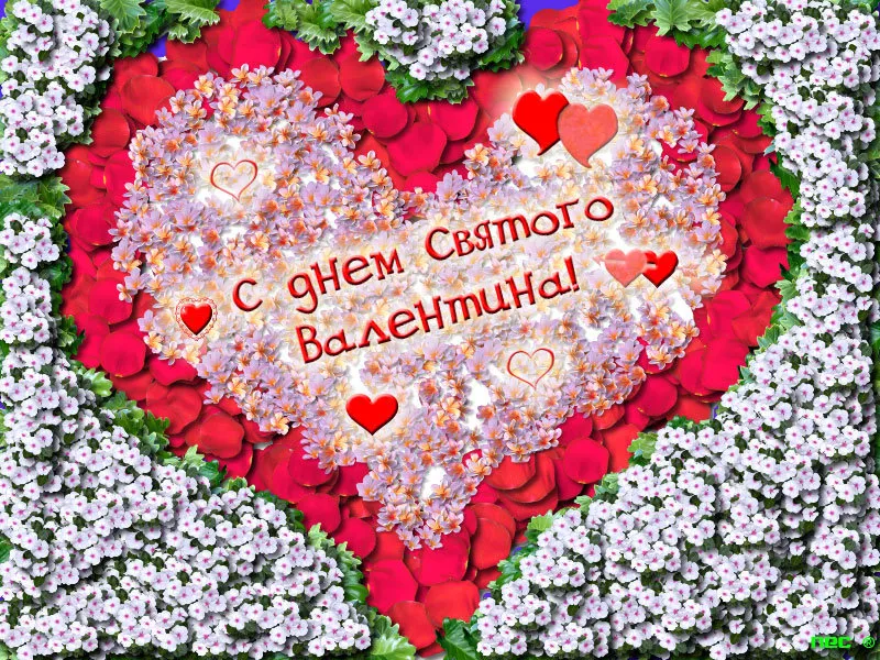 Открытка 14 февраля День влюблённых - Открытка с цветами и сердечками | Красивая открытка #27