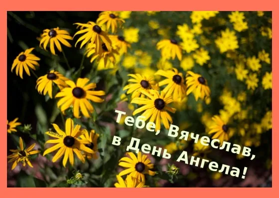 Открытка открытки с именем Вячеслав - Полевые цветы: поздравления с Днем Ангела | Красивая открытка #70
