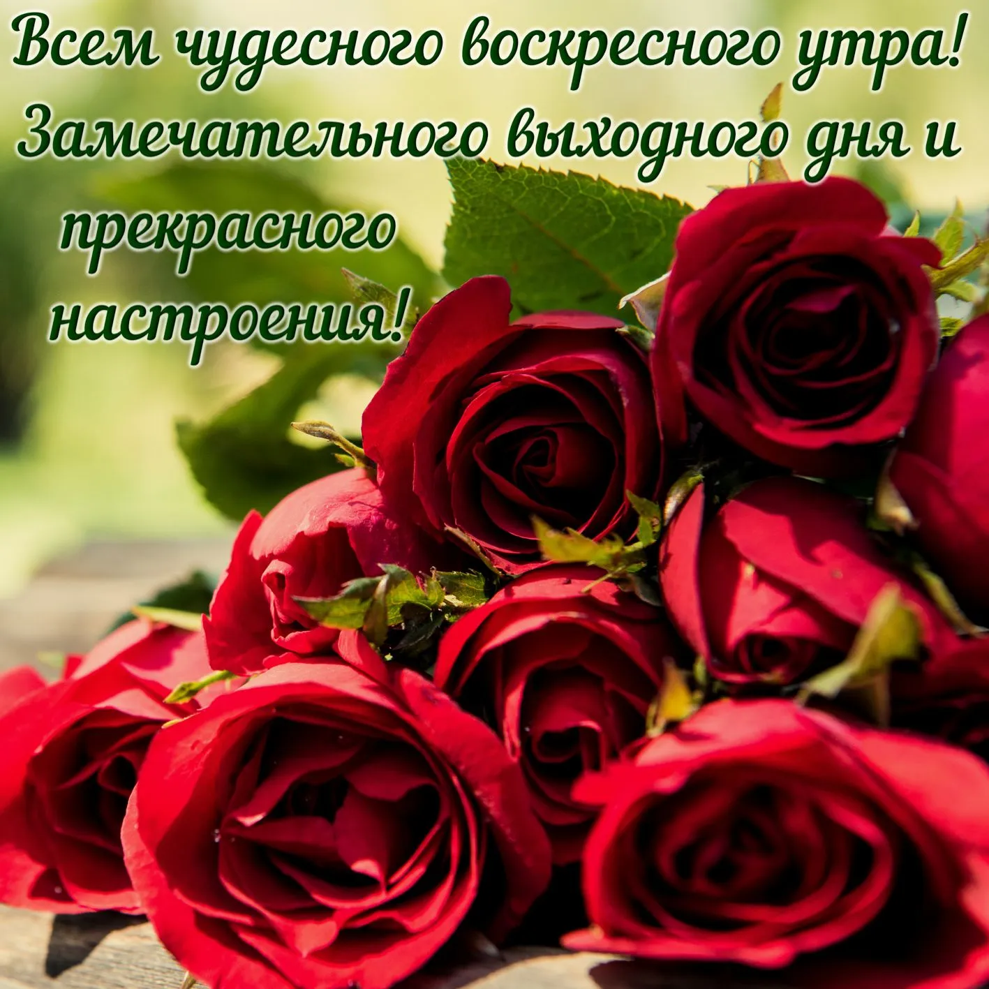 Открытка Открытки на воскресенье - Букет красных роз: Красота и нежность | Красивая открытка #52