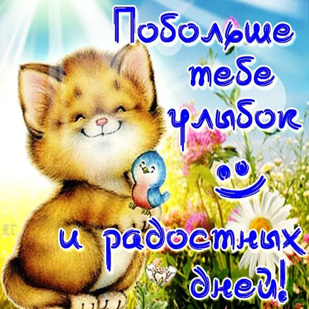 Открытка Улыбнись - Открытка с рыжим котенком и птичкой | Красивая открытка #35