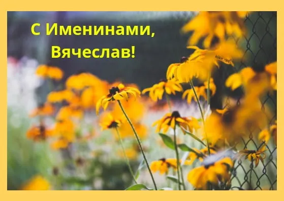 Открытка открытки с именем Вячеслав - Полевые цветы: открытка с цветами на заказ | Красивая открытка #65