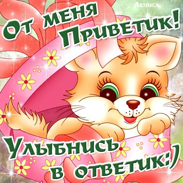 Открытка Улыбнись - Котенок с цветами - Приветствие, Открытка | Красивая открытка #5