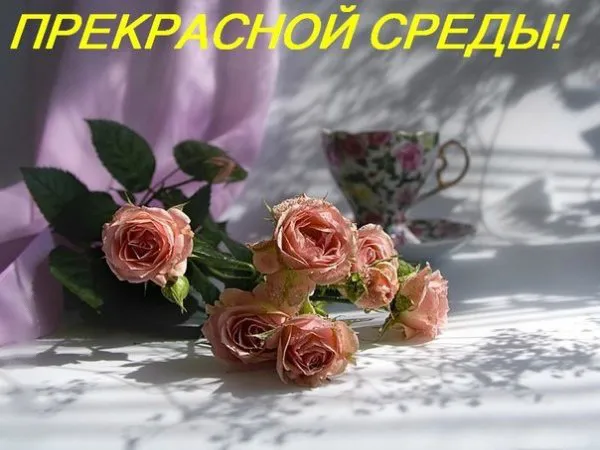 Открытка Удачной среды - Розовые розы и чайная чашка. Открытка | Красивая открытка #26