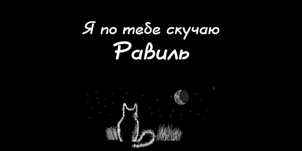Открытка Открытки с именем Равиль - Открытка с котиком и луной — С днем рождения! | Красивая открытка #94
