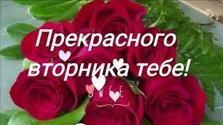 Открытка Дни недели - Букет красных роз на открытке | Красивая открытка #54