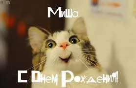 Открытка Открытки с именем Михаил  - Открытка с котом на день рождения | Красивая открытка #257