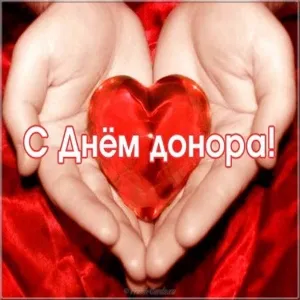 Открытка С всемирным днем донора крови - Руки держат красное сердце - открытка | Красивая открытка #29
