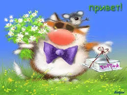 Открытка Привет - Открытка с котом, цветами и подарком | Красивая открытка #156