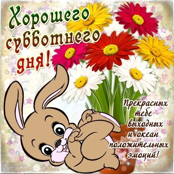 Открытка добрый день - Зайчик с цветами: Открытка с днем рождения | Красивая открытка #83