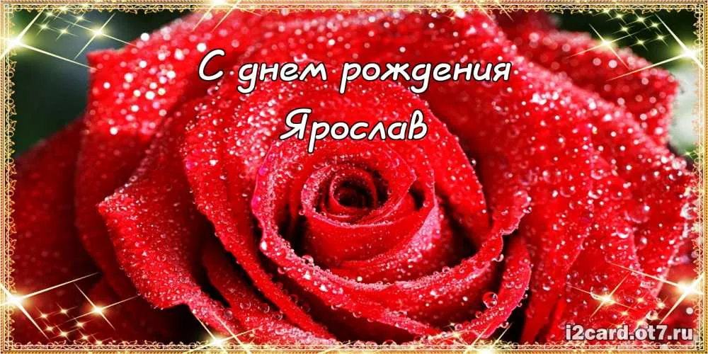 Открытка Открытки с именем Ярослав  - Открытка с красной розой: поздравления с днем рождения | Красивая открытка #262
