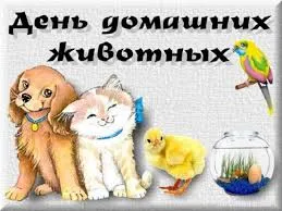 Открытка Открытки на Всемирный день домашних животных - Открытка с щенком, котенком, цыпленком и попугаем | Красивая открытка #30