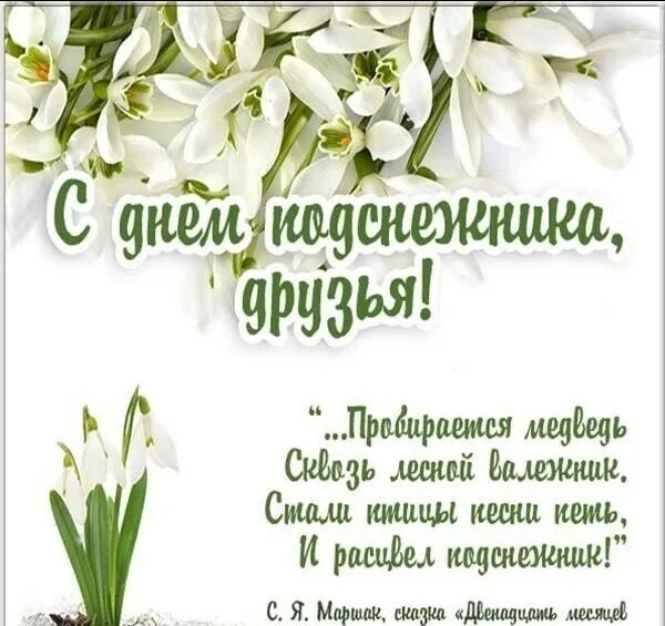 Открытка С днём подснежника - С днем подснежника! "Радуемся медведям..." | Красивая открытка #53