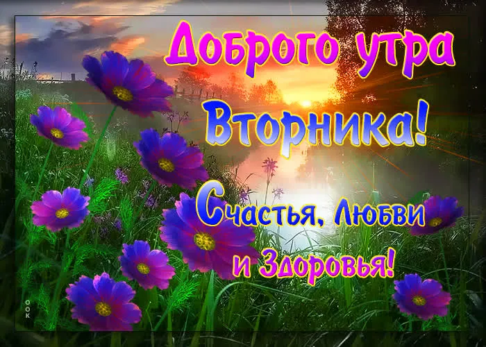 Открытка Доброе утро вторник - Открытка с цветами и закатом. | Красивая открытка #30