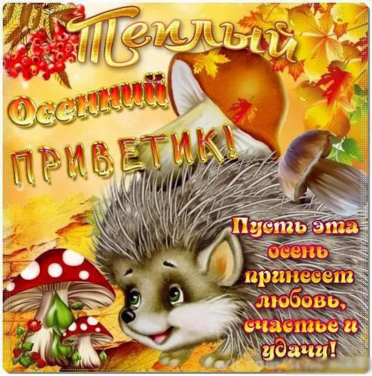 Открытка Осенний приветик - Ежик на осенней открытке: поздравления с праздником | Красивая открытка #86