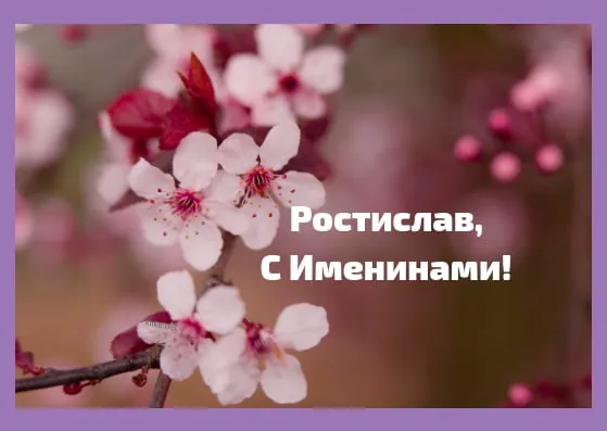 Открытка Открытки с именем Ростислав  - Цветущая вишня: Открытка с юбилеем | Красивая открытка #179