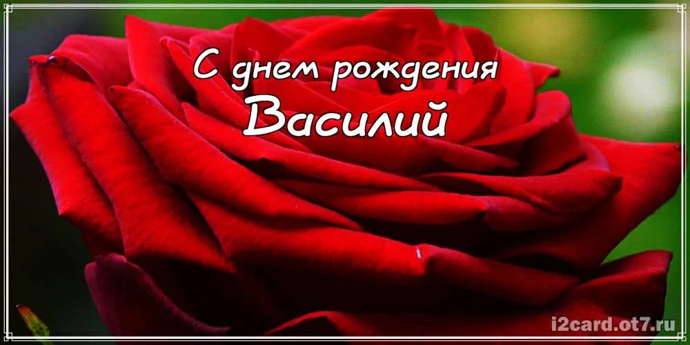 Открытка открытки с именем Василий - Красная роза: открытка с днем рождения | Красивая открытка #172