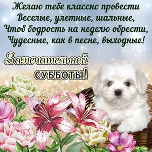 Открытка Открытки на субботу - Открытка с щенком и лилиями | Красивая открытка #50