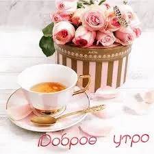 Открытка Доброе утро - Розовые розы в чашке: Открытка с добрым утром | Красивая открытка #225