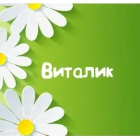 Открытка открытки с именем Виталий - Открытка с цветами: Зеленый фон, белые ромашки | Красивая открытка #225