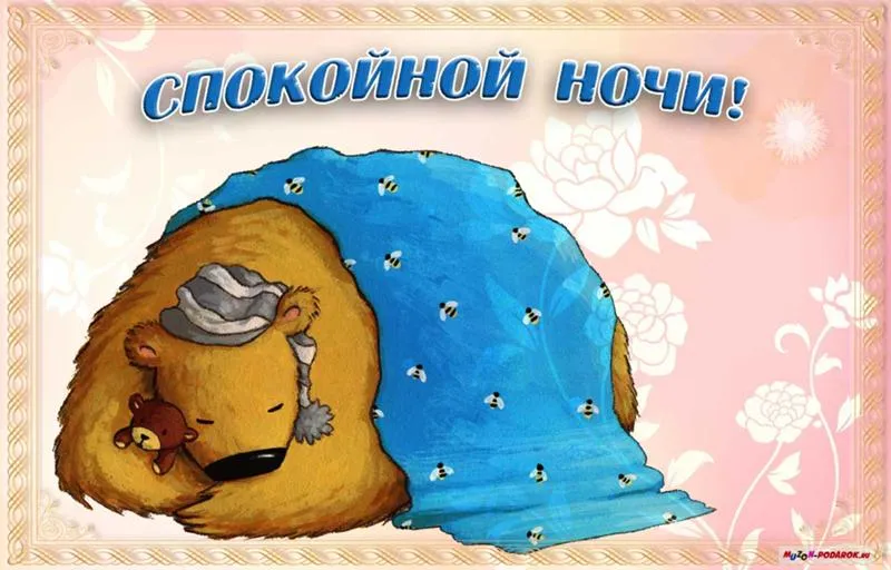 Открытка Спокойной ночи - Открытка с милым медвежонком в кровати | Красивая открытка #328